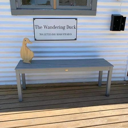 The Wandering Duck - Heritage Tiny House Strahan Eksteriør bilde